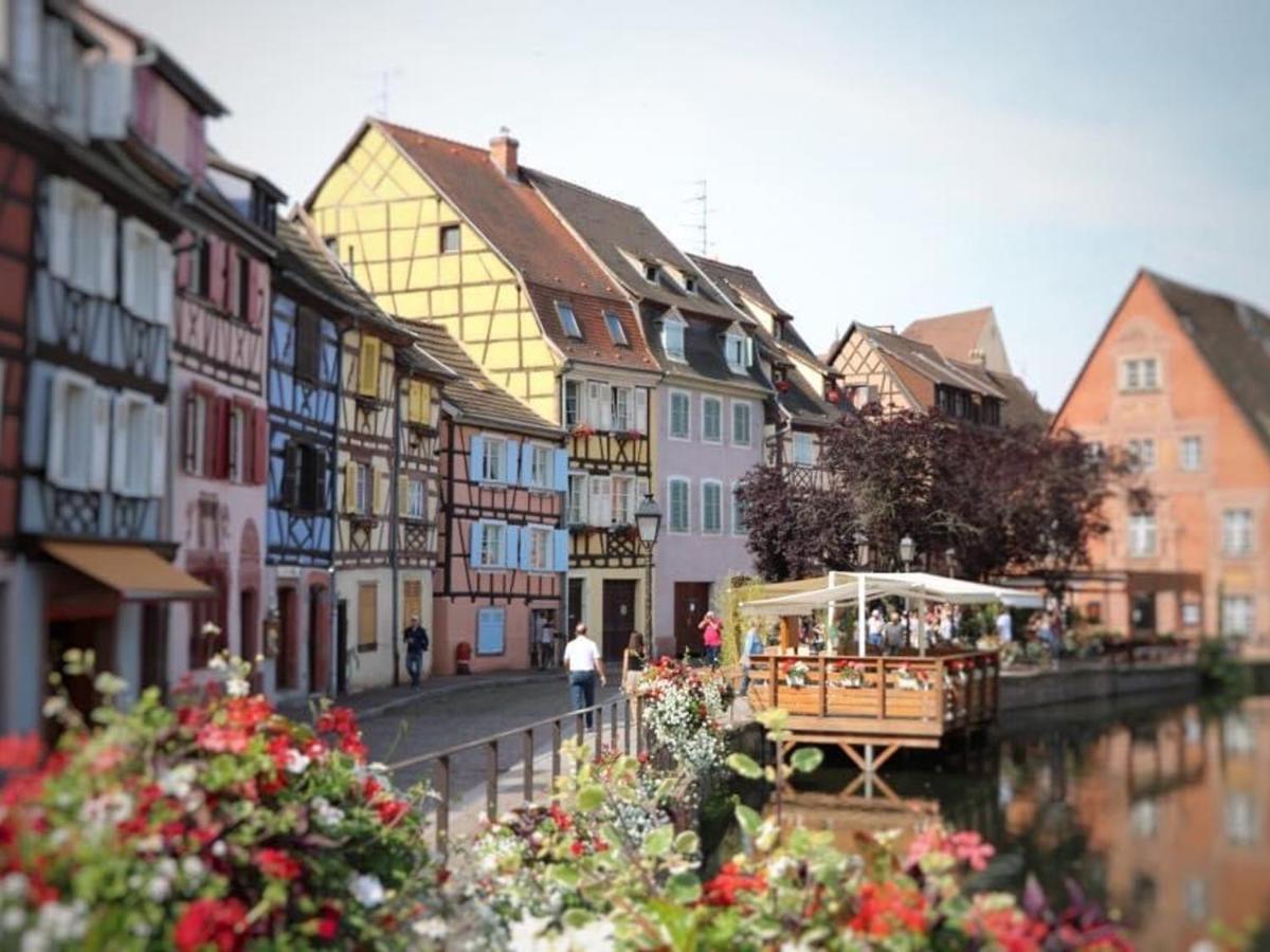 Appartement Spacieux A Colmar Avec Terrasse, Garage Privatif, Proche Centre Et Gare - Fr-1-722-2 Esterno foto